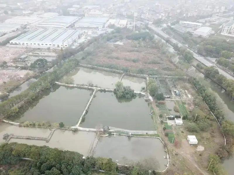 临浦碧桂园最新动态,临浦碧桂园最新动态，科技前沿的居住新体验