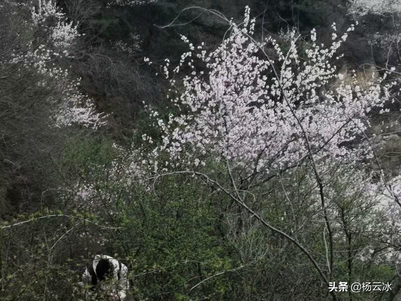 技术服务 第41页