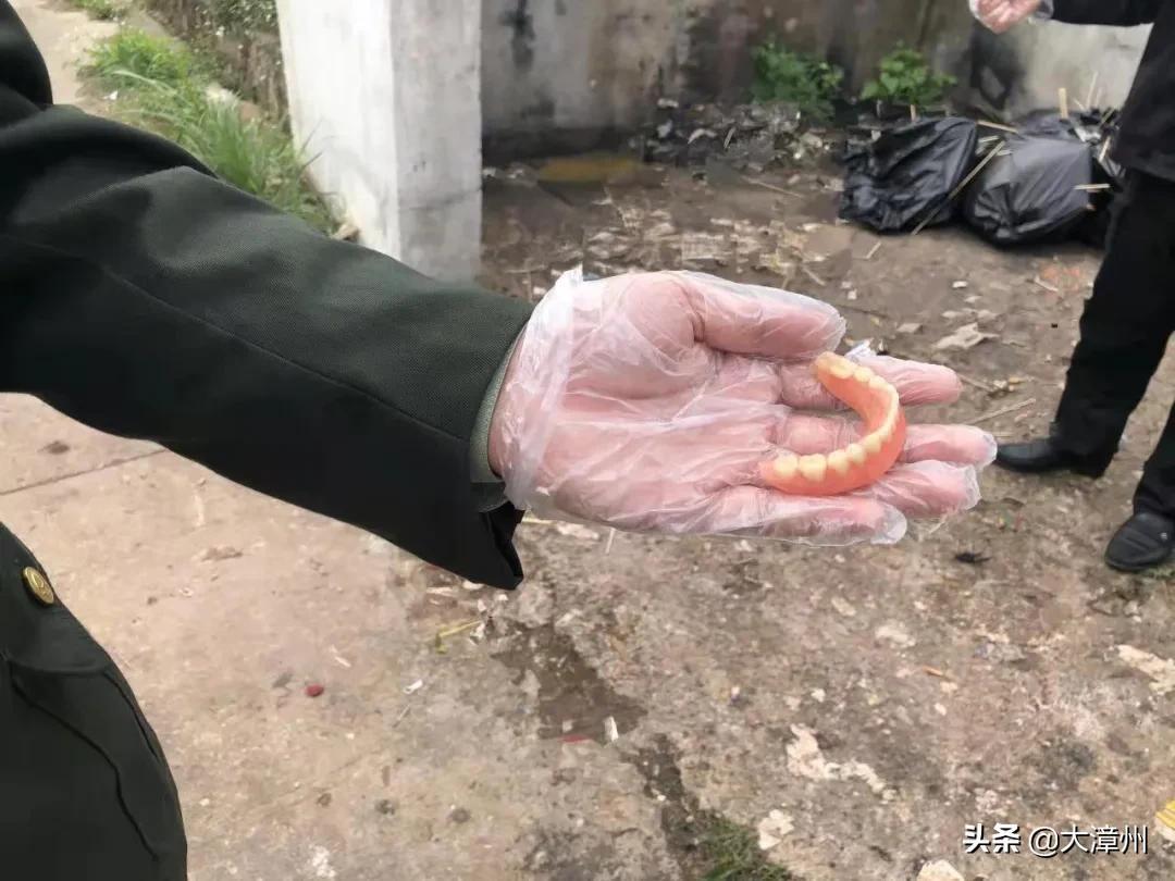 活动假牙价格,活动假牙价格，一场与自然美景的旅行邂逅，寻找内心的平和与微笑
